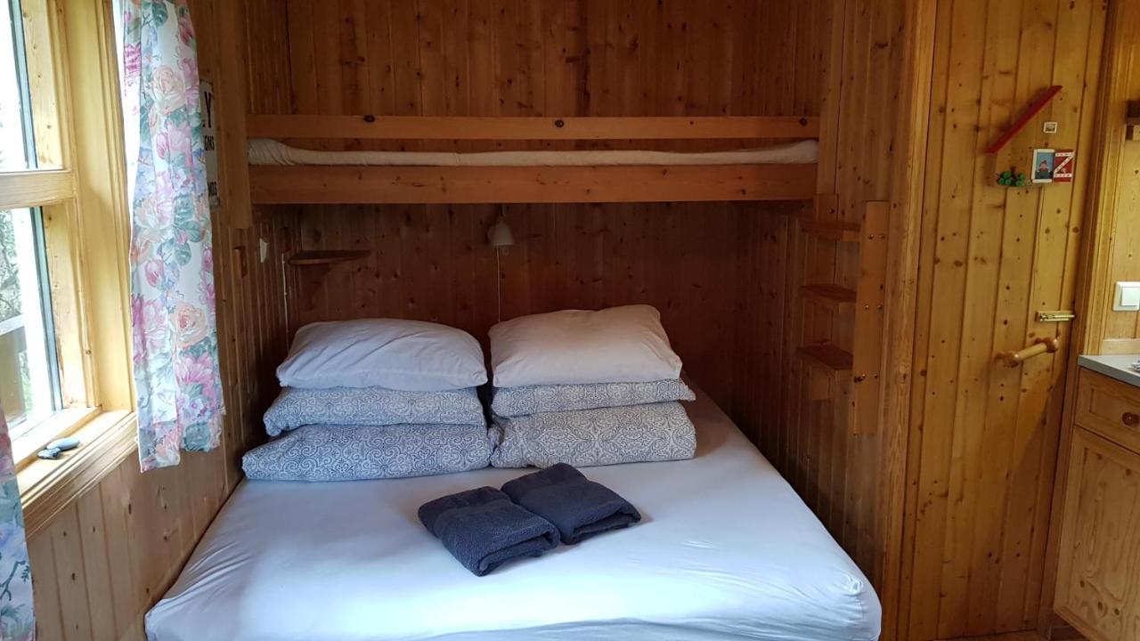 Cozy Cabin In The Woods Selfoss Zewnętrze zdjęcie